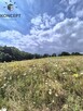Działka na sprzedaż. - 2