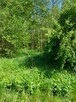 Na sprzedaż działka w miejscowości Mokrzyska-Bucze - 3