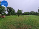 Dom z dużą działką w okolicy Twardogóry - 4