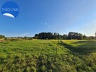 Dom z dużą działką w okolicy Twardogóry - 6