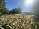 Działka budowlana Siedlce gm. Chęciny, - 2