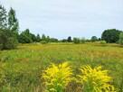 Działka budowlana Łabędziów gm. Morawica, Dwór - 8