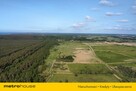 ZALESIN, działka rolna 3000m, 800m od plaży - 4