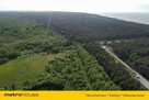 ZALESIN, działka rolna 3000m, 800m od plaży - 10