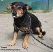 Tymon - 6