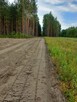 Sprzedam działkę BUDOWLANĄ na terenie ZADRZEWIONYM - 1