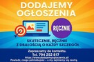 Dodajemy ogłoszenia do setek portali - 3