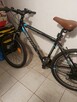 rower męski - 2