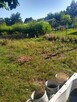 Sprzedam ogródek działkowy - 6