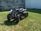 Mini Quad 50 - 3