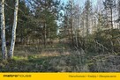 Sprzedaż siedliska lub zamiana na mieszkanie - 3