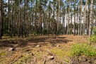 Działka 664m2 przy jez. Sławskim, Radzyń gm. Sława - 7