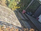 Tanie I kompleksowe usługi w zakresie Zakładania ,aranżacji - 13