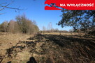 Działka rolno-budow. Wola Mieczysławska g.Lubartów - 10