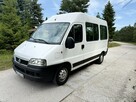 Fiat Ducato/9 Osób - 1