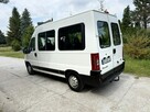 Fiat Ducato/9 Osób - 4