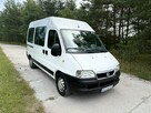 Fiat Ducato/9 Osób - 7