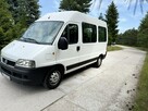Fiat Ducato/9 Osób - 8