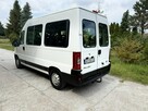 Fiat Ducato/9 Osób - 12