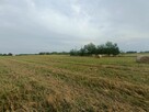 Działka budowlana Tąpkowice gm. Ożarowice, Brynicka - 1