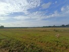 Działka budowlana Tąpkowice gm. Ożarowice, Brynicka - 2