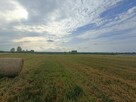 Działka budowlana Tąpkowice gm. Ożarowice, Brynicka - 5