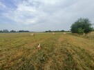 Działka budowlana Tąpkowice gm. Ożarowice, Brynicka - 7