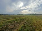 Działka budowlana Tąpkowice gm. Ożarowice, Brynicka - 9