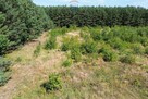 Działka budowlana z możliwością usług k. Suntago - 11