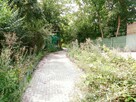 Sompolno – Lokal Handlowo/Usługowy - 5