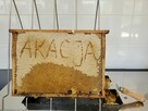 Ule firmowe • Miód z logo firmy • CSR • Pasieka Dzika Natura - 3