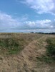 Sprzedam ziemie orną - 2