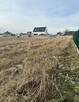 Działka pod budowę 1096m2 (gmina Kościan) - 7