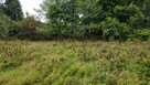 Cicha okolica nad jeziorem – działka 990 m², Cybulin - 8