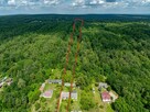 Dom z Wielkim Pięknym Lasem, Malownicza okolica - 16