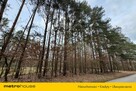 5 działek do wyboru w pięknej okolicy! - 9