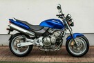 Honda Hornet CB 600 F 1998 Raty Transport NAJWIĘKSZY WYBÓR MOTOCYKLI W Polsce - 2