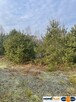 Na sprzedaż działka 5300 m², możliwość zakupu 1/2. - 3
