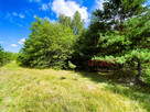 Działka inwestycyjna Zboiska gm. Radziejowice, - 4