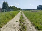 Działka w pięknym miejscu - w Rudno k. Gliwic - 2