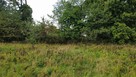Cicha okolica nad jeziorem – działka 990 m², Cybulin - 9