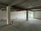 Lokal do wynajęcia - 209 m2 - 5