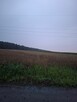Sprzedam działkę - 1