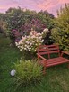 Piękna działka rekreacyjna \ - 13