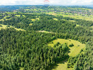 Działka na sprzedaż - Bukowina Tatrzańska - 11