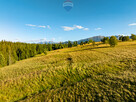 Działka rolna Zakopane - 10