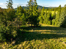 Działka rolno-leśna Zakopane - 9