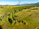 Działka rolno-leśna Zakopane - 13