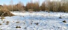 Działka inwestycyjna Kowalewo gm. Szemud, Wiśniowa - 10