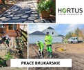 Usługi Ogrodnicze , drenaże , wykopy liniowe . - 4